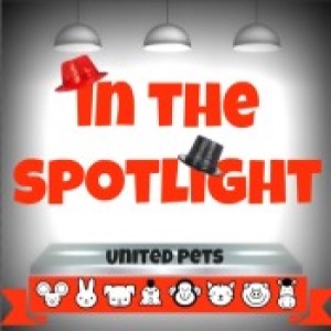 an in the spotlight award 